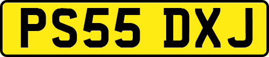PS55DXJ