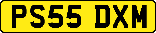 PS55DXM