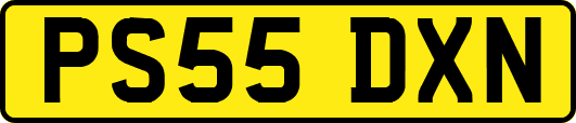 PS55DXN