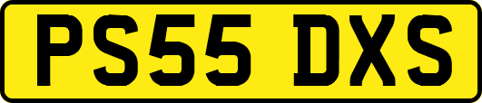 PS55DXS