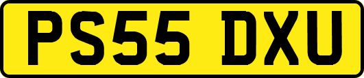 PS55DXU