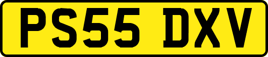 PS55DXV