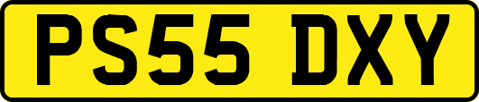 PS55DXY