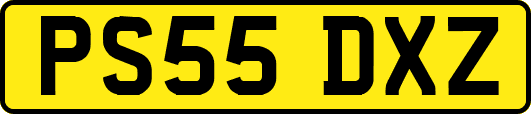PS55DXZ