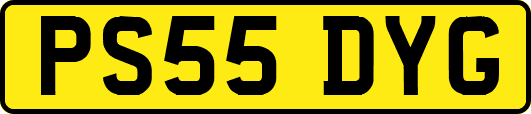 PS55DYG