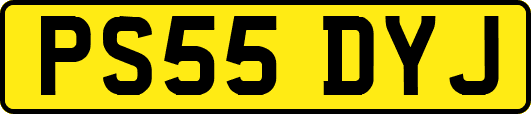 PS55DYJ