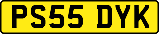PS55DYK