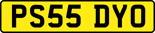 PS55DYO