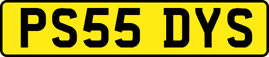 PS55DYS