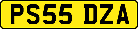PS55DZA