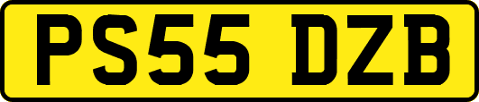 PS55DZB