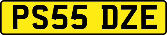 PS55DZE