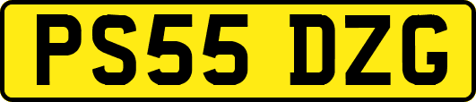 PS55DZG