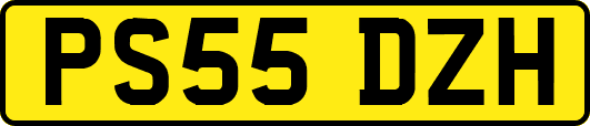 PS55DZH