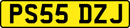 PS55DZJ