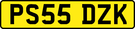 PS55DZK