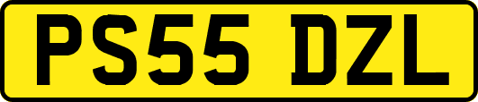 PS55DZL