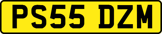 PS55DZM