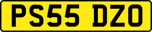 PS55DZO