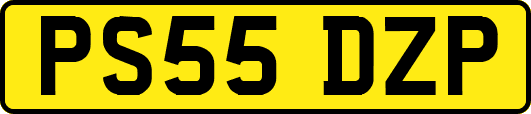 PS55DZP