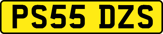 PS55DZS