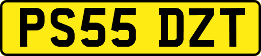 PS55DZT