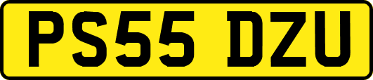 PS55DZU