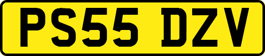 PS55DZV