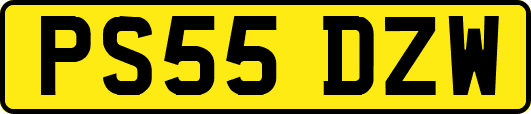 PS55DZW