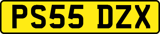 PS55DZX