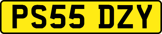 PS55DZY