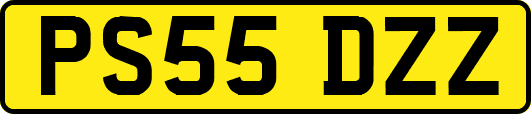 PS55DZZ