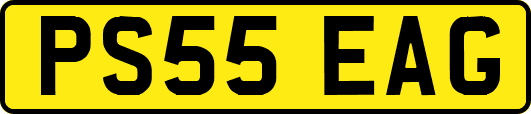 PS55EAG
