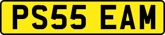 PS55EAM