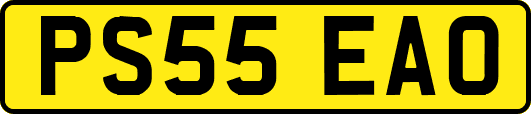 PS55EAO