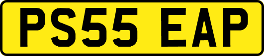 PS55EAP