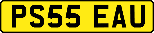 PS55EAU
