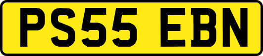 PS55EBN