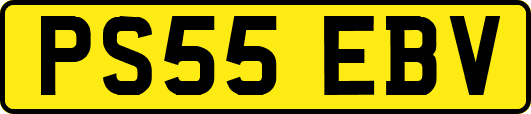 PS55EBV