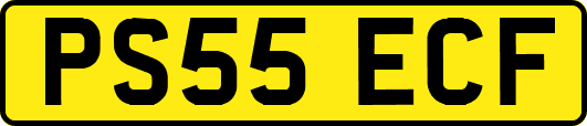 PS55ECF