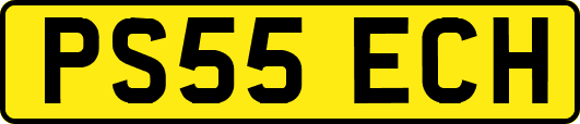 PS55ECH