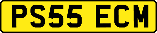 PS55ECM