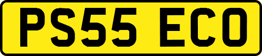 PS55ECO