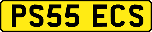 PS55ECS