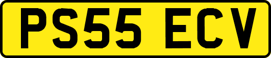 PS55ECV