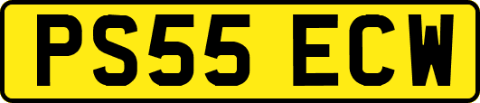 PS55ECW