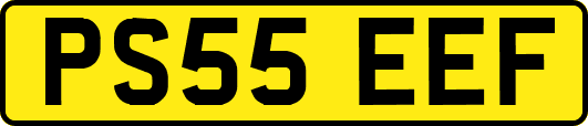 PS55EEF