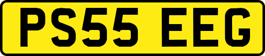 PS55EEG