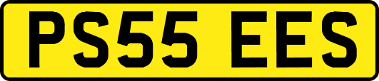 PS55EES