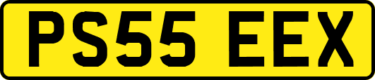 PS55EEX